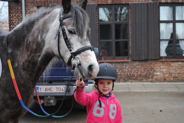 onze flinke ruiter 