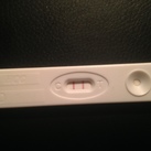 1e test 