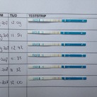 Ronde 2 - Ovulatietesten 28-9 t/m 3-10 