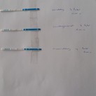 ovulatietest 