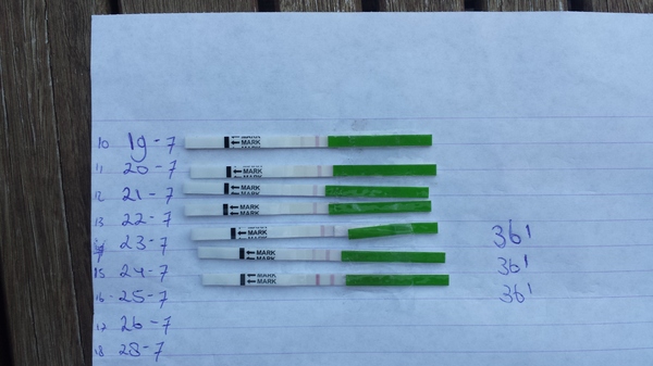 positieve ovulatie test ??? 25 juli 2014 Dag 16 ?? Het moet niet gekker worden ? Zou het dan