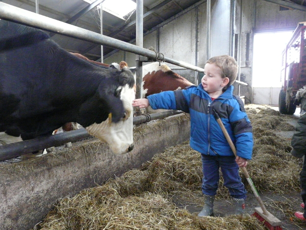 De stal vegen en de koeien hooi geven. Bijna elke dag bezoeken wij zorgboerderij "Noorderend" om de kippen, konijnen, koeien, paarden en vogeltjes eten te geven en te kijken of de worteltjes of tomaatjes in ons eigen  groentetuintje al klaar zijn. Maar eerst halen we boodschappen in de winkel.