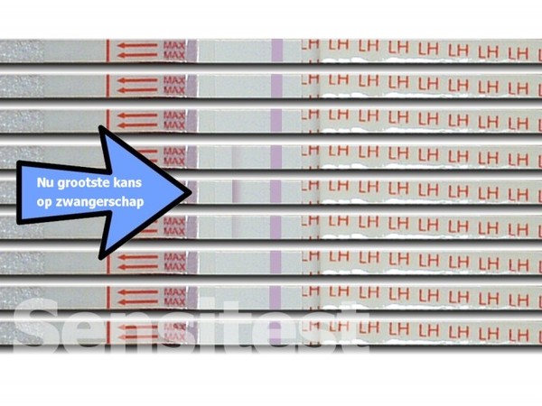 Ovulatietesten voorbeeld 