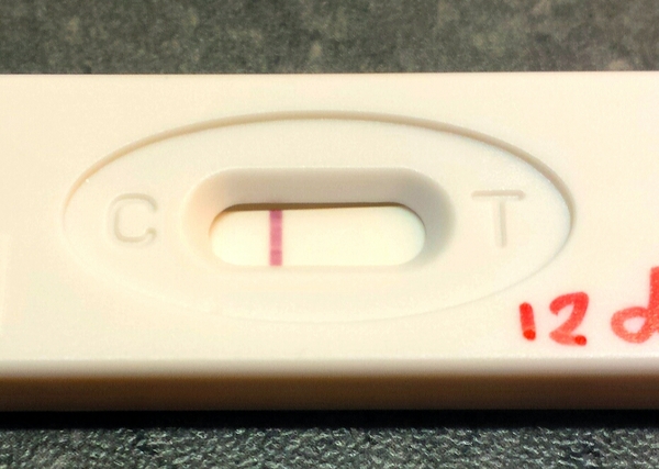 12 dpo 17.4