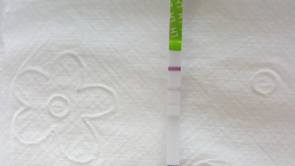  Ovulatietest van sensitest. Aankomende eisprong?