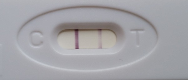 13 dpo 