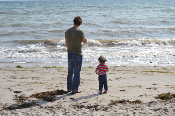 Finn en papa Finn en papa