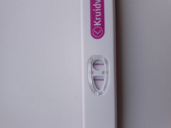 11 dpo 