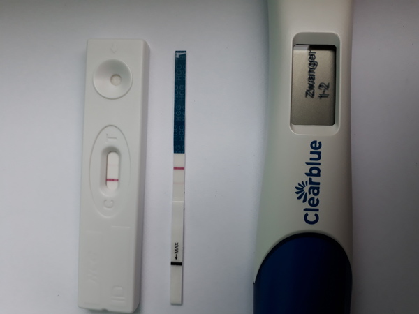 Zw test 11 dpo 