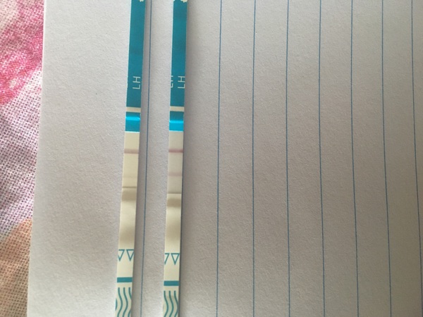 Ovu testen NOD sept  