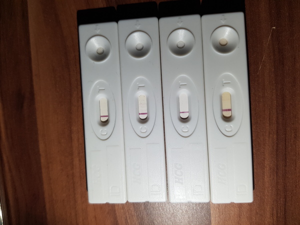 Testen 