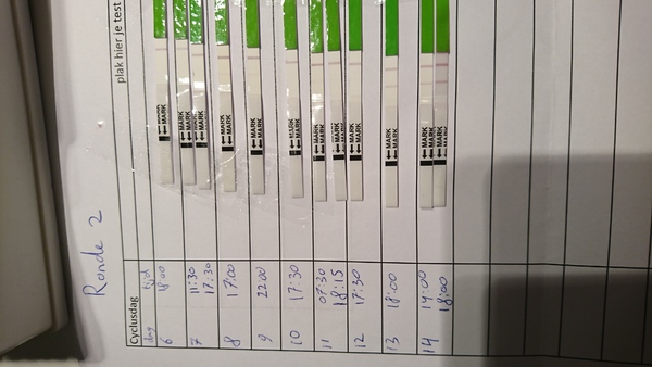 Ovulatie test 17-11 