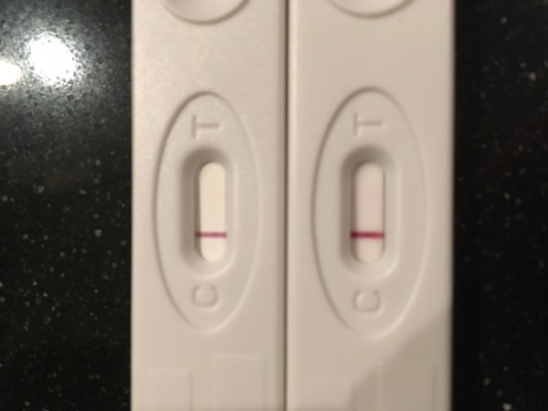 11 en 12 dpo 