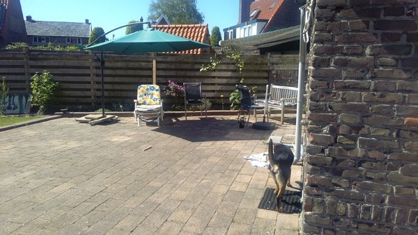 Tuin 