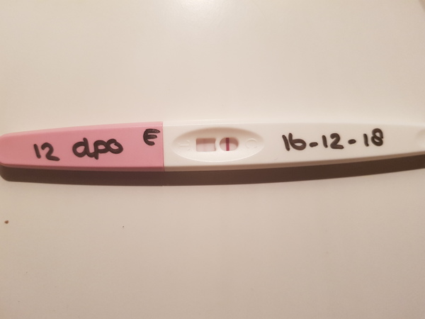  12DPO