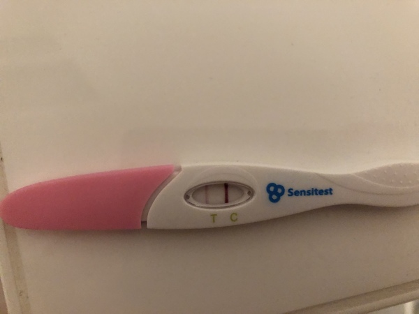 13/14 dpo  