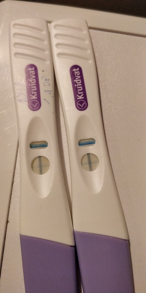 Links dpo 11, rechts 12dpo 