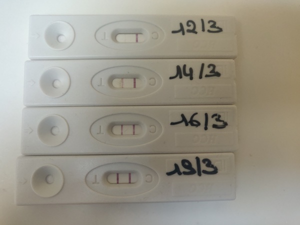 4w5d 