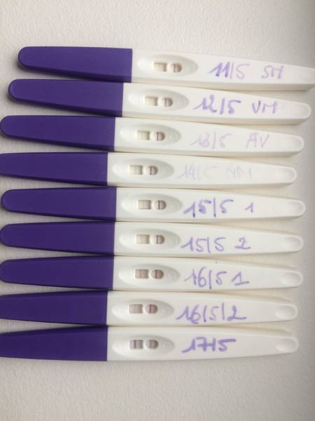 Positieve ovulatietest ronde 2 cd14 