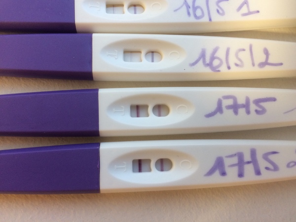 Positieve ovulatietest ronde 2 cd14 3 