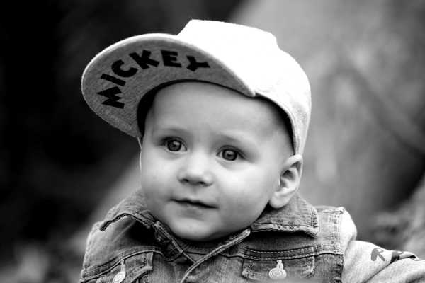 Babyboy 