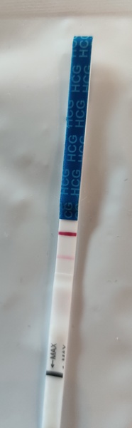 13DPO 