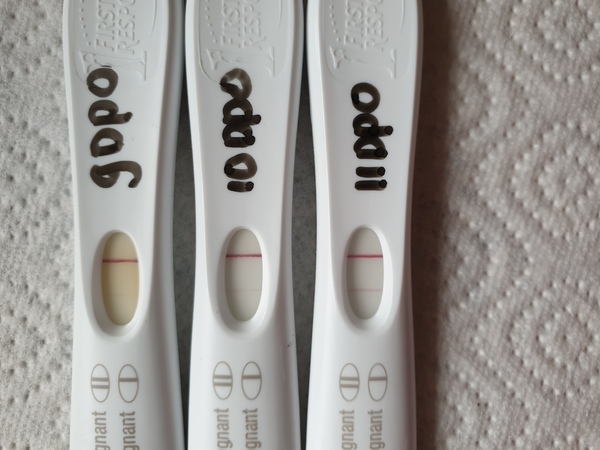 11dpo 