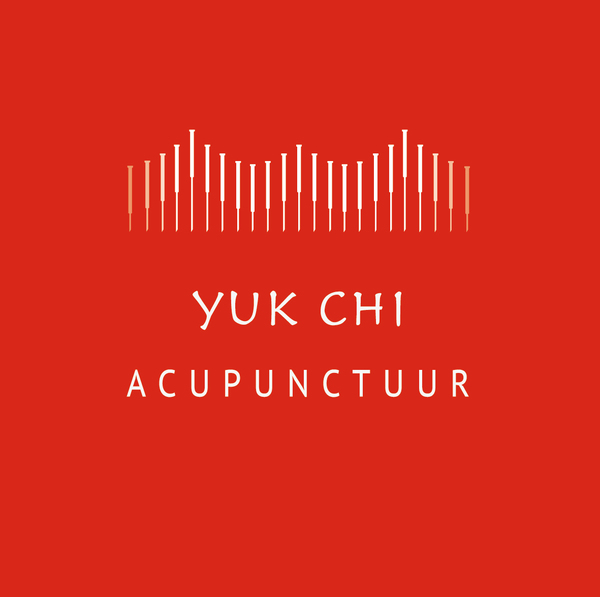 Acupunctuur Haarlem 