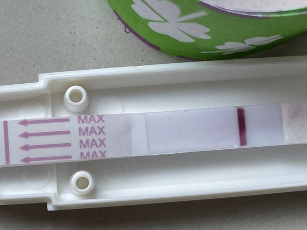 11 dpo middag  