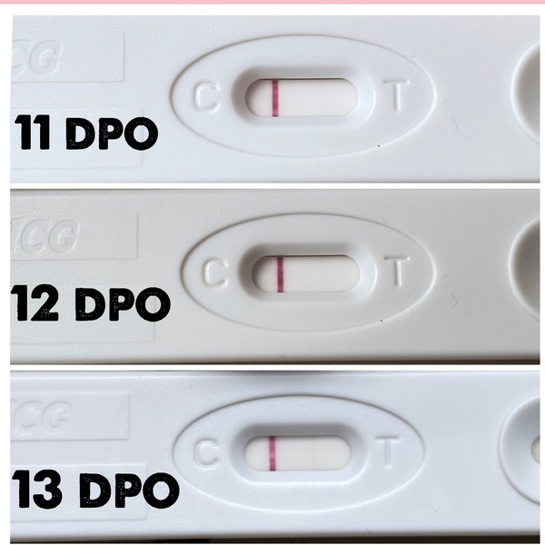 13 dpo  