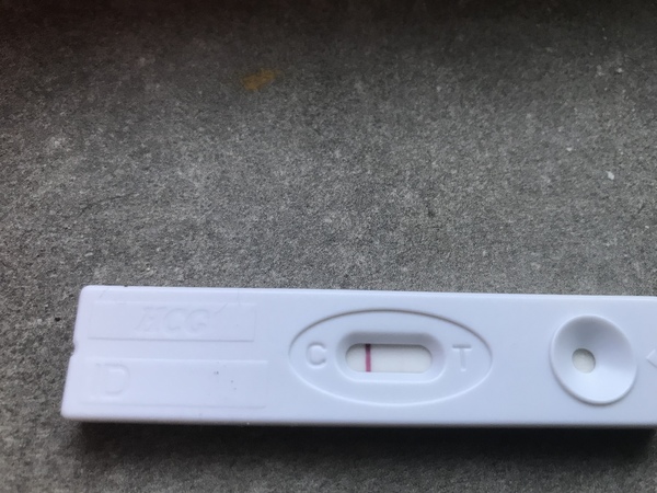 14dpo 