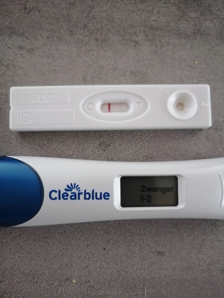 11dpo 