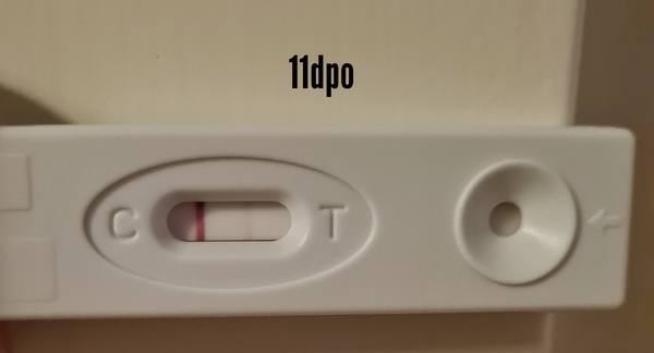 11dpo 