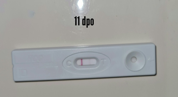 11dpo 