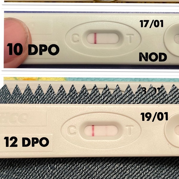 19/01/22 12 dpo