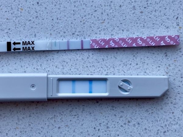 CD 19 