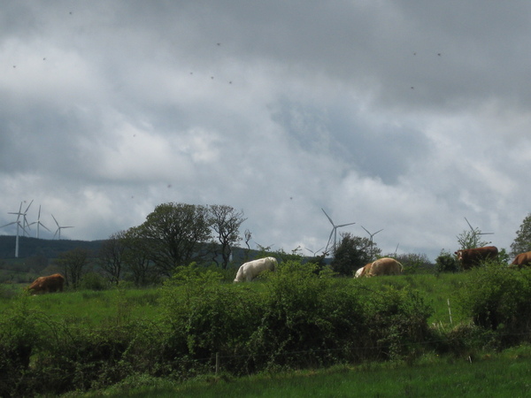 Ierland  