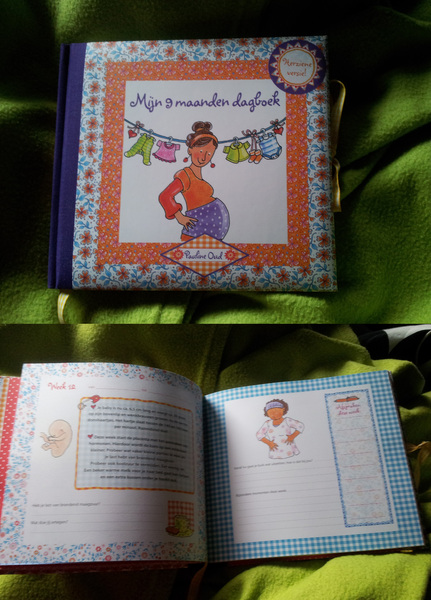 9 Maanden dagboek Een dagboek met informatie en van elke week 2 bladzijdes met leuke vragen die je kunt beantwoorden! Gekregen van manlief <3