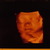  3d echo van onze kleine man! gemaakt met 28 wken!