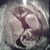 13w Echo en geslachtsbepaling 13w 3d