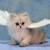 'earthkitty' 