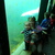 samen met ons zoontje bij dolfinarium (22 weekjes zwanger) Altijd wil jeremy op de foto behalve bij dolfinaruim, ach hij had het ook zo druk met kijken ;) 