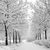 Axel  De Winter Axel  De Winter