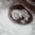 baby 2.  