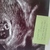 Eerste echo 7 w 1d 