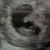 Eerste echo 