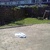 Tuin 