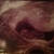 8 wk en 6dg 2,1 cm