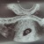 5w4d 