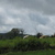 Ierland  